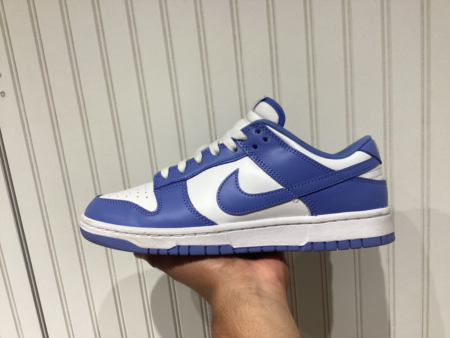 Nike Dunk Low Polar Blue (PRE-OWNED)