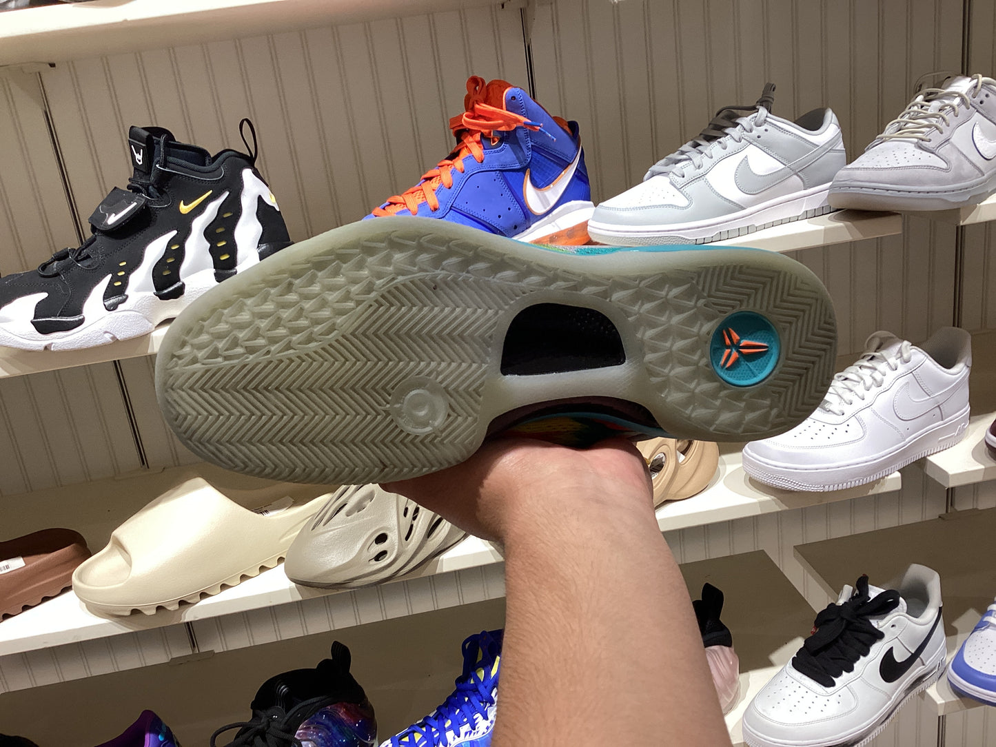 Nike Kobe 8 Protro Venice Beach
2024 (PRE-OWNED)