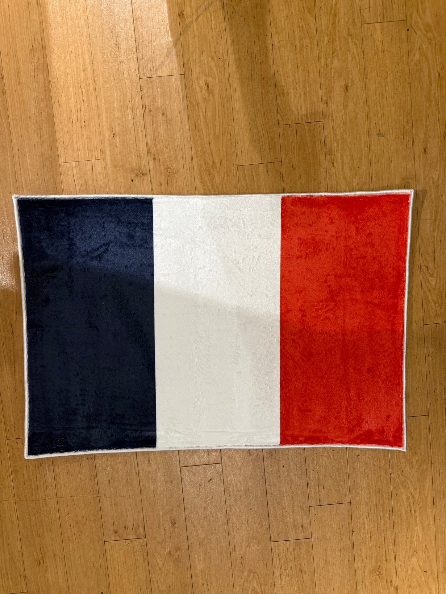 France Flag Rug