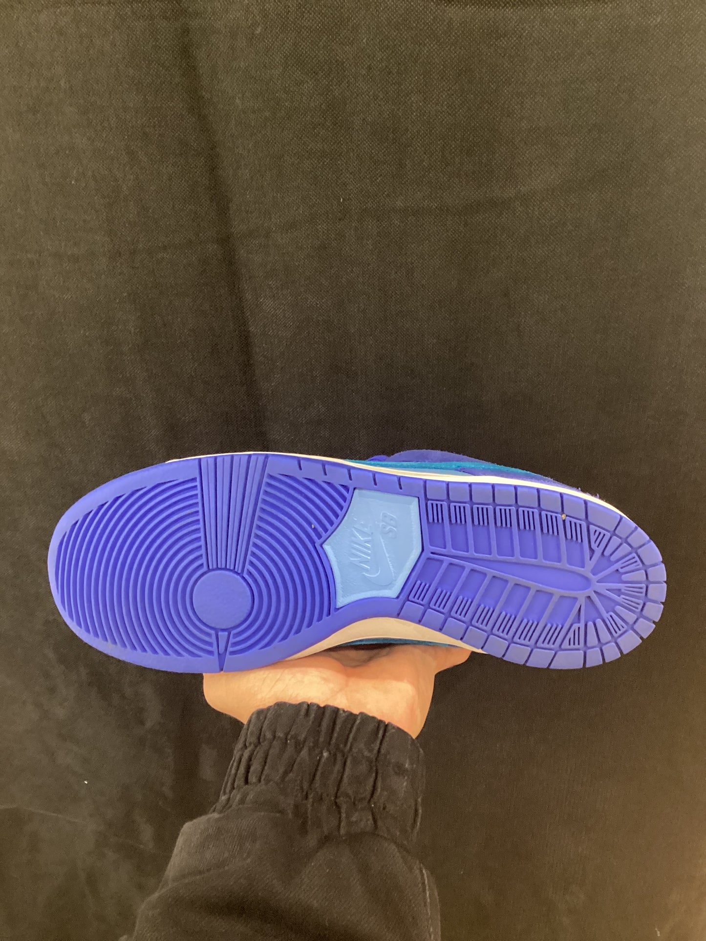 Nike Dunk Low SB Fruity Pack
Blue Raspberry (PRE-OWNED)