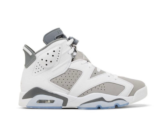 Air Jordan 6 Retro Cool Grey (PRE-OWNED)