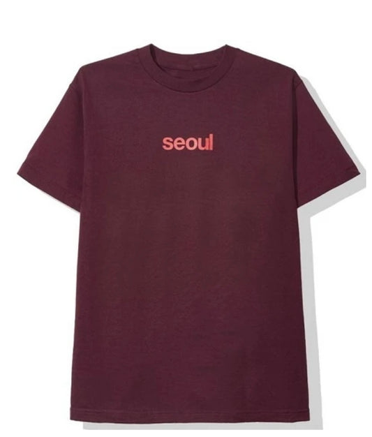 Anti Social Social Club Seoul Maroon
Tee (GENTLY-WORN)