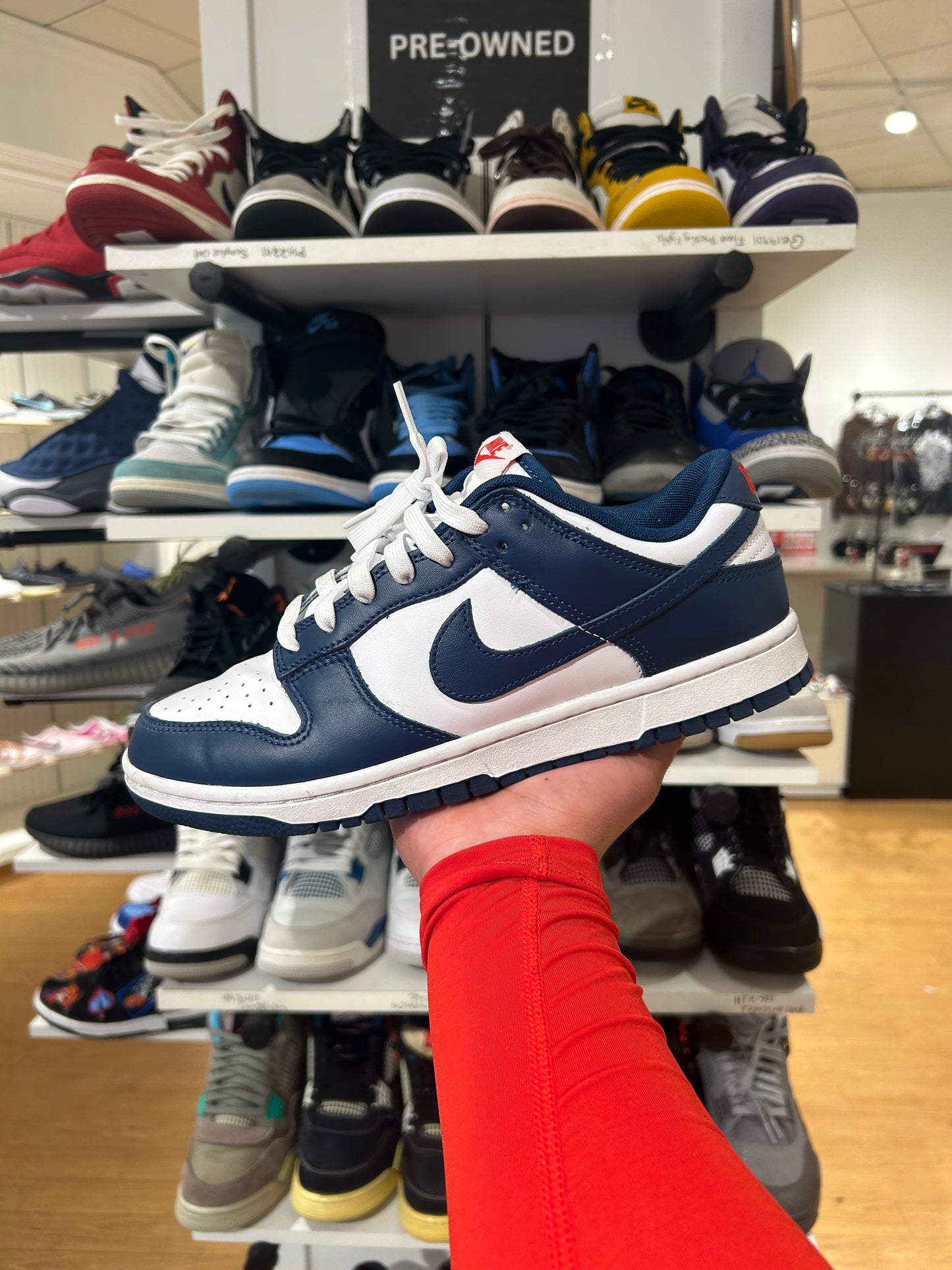 Nike Dunk Low Valerian Blue (PRE-OWNED)